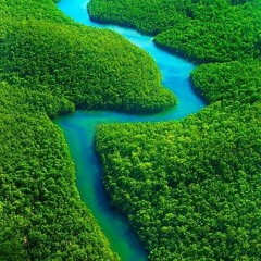 جاية تقولى - محمد ابراهيم