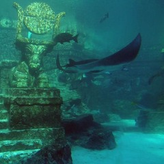 M-Plaxx - Future Trance [Niels Van Gogh Mix]