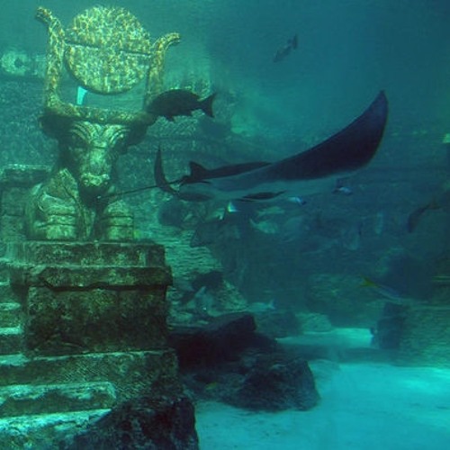 M-Plaxx - Future Trance [Niels Van Gogh Mix]