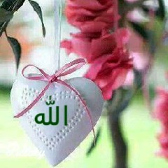 أعظم ما أملك  في أحمد بو شهاب