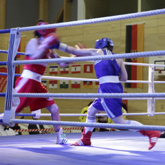 Boxing with Dvorak - Preview of "Waldesruhe" by Antonín Dvořák