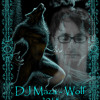 DJ Maza -Wolf