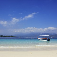 Vampire Weekend - Holiday (cover)