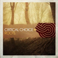 Critical Choice-Roots Original Mix(musico.ws)