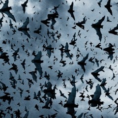 marianne faithfull - why do it (jz dub)