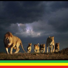 Tarrus Riley - My Day (Official HD Video) Chimney Records - BSMG