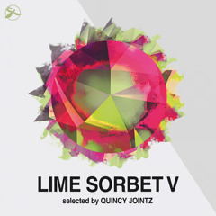 04 Jayl Funk - We got the Funk (Quincy Jointz Remix)