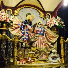 Acyuta Wed Night 6.3.15 at Radha Govinda