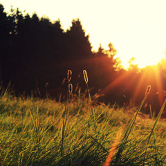 De Reden Dat Je Lacht met Hank Phrazer & Eva Cleven