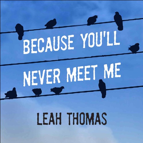 Stream Because You'll Never Meet Me by Leah Thomas, Narrated by Kirby ...
