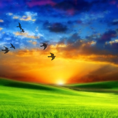 Erick Duran -  Paradise (Original Mix)