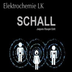 Elektrochemie LK - Schall (Jaques Raupé Edit)