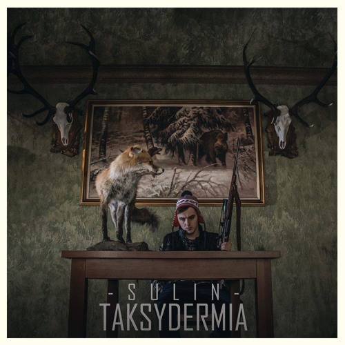 Sulin - Pozmieniało się