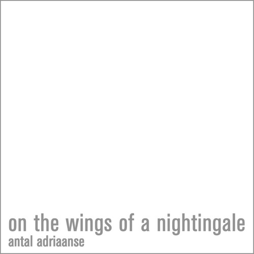 On The Wings Of A Nightingale