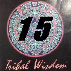 Tribal Wisdom - Track 1backbreaker
