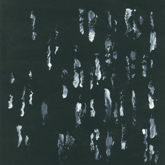 Sightings - Amusers And Puzzlers
