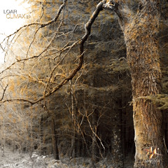 Loar - Climax (Original Mix)