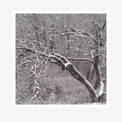 String Songs - 1) Song Without Words