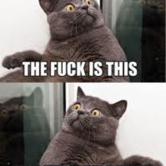 02 moose tristan chopped