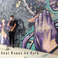 Dont Wanna Go Back (prod. by Hvnter & Peter Pan)