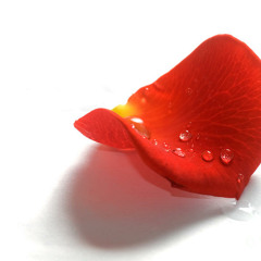 XXYYXX- ABOUT YOU REMIX( Fantasies About A Girl THATS MINE NOW)