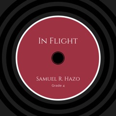 In Flight