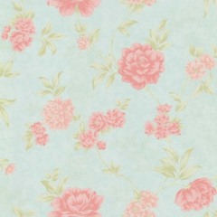 People Help The People by Birdy