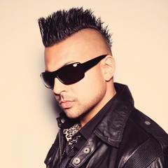 Singer J feat. Sean Paul - Stay Away Remix