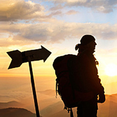 Stationary Traveller cover