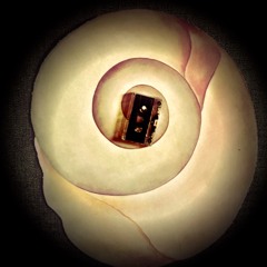 500 Milligrams Of Wisdom