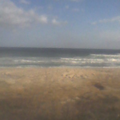 blue and green m.davis