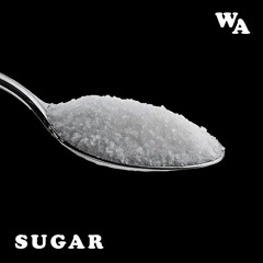 Wild Aminals - Sugar