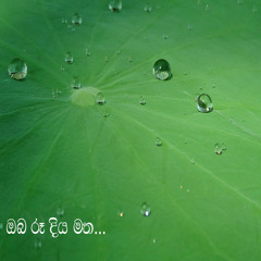 Obe Ru Duyamatha - Sunil Edirisinghe - Lal Hegoda - Rohana Weerasinghe.MP3