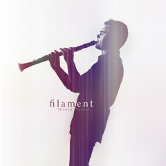 Shankar Tucker - Filament - 13 Aadiyillalo Anthamillalo (Kerala Boat Song) - feat. Job Kurian