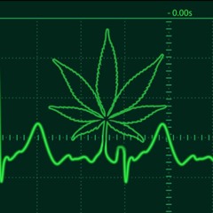 Fuzzy Nocturnal - Mango Music
