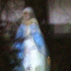 Sylvia