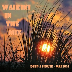 Waikiki in the Mix - Mai 2015