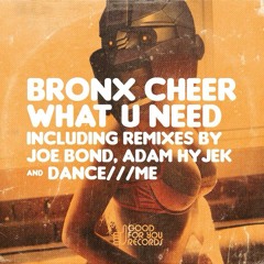 Bronx Cheer - What U Need (Adam Hyjek Remix)