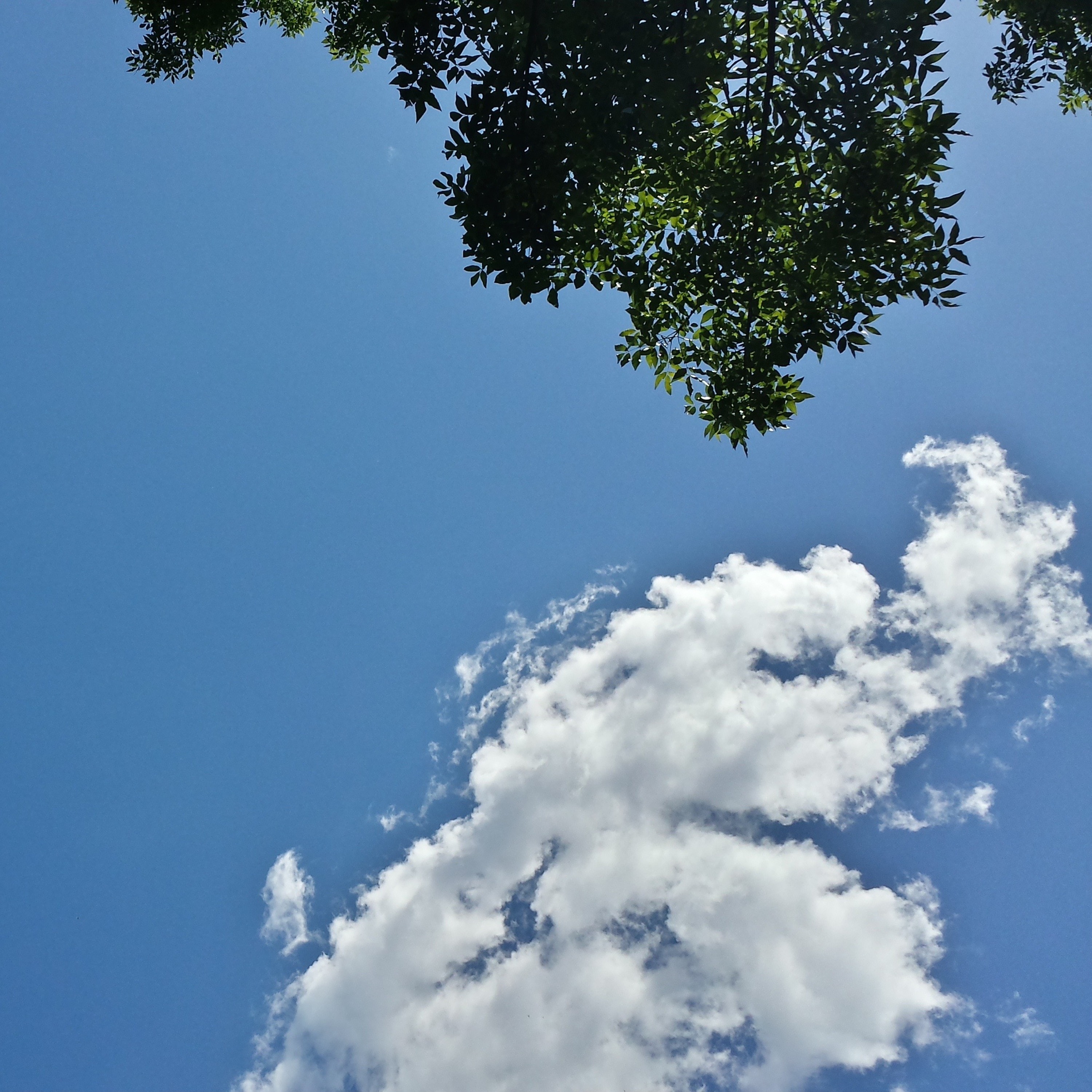 Vitamin D, China's CO2, robot cars, nonprofit grocery, basic income, death penalty, Dutch happiness