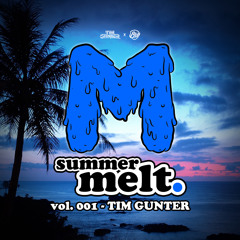 Tim Gunter x BroBible present: Summer Melt 001 ft. Tim Gunter