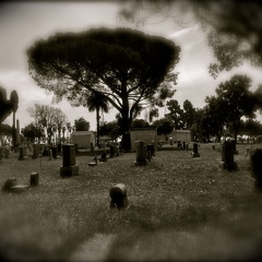 The Unborn Dream - El Jardín