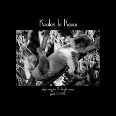 Elijah Wiggins - Koalas In Kauai ft. Dwight Junior