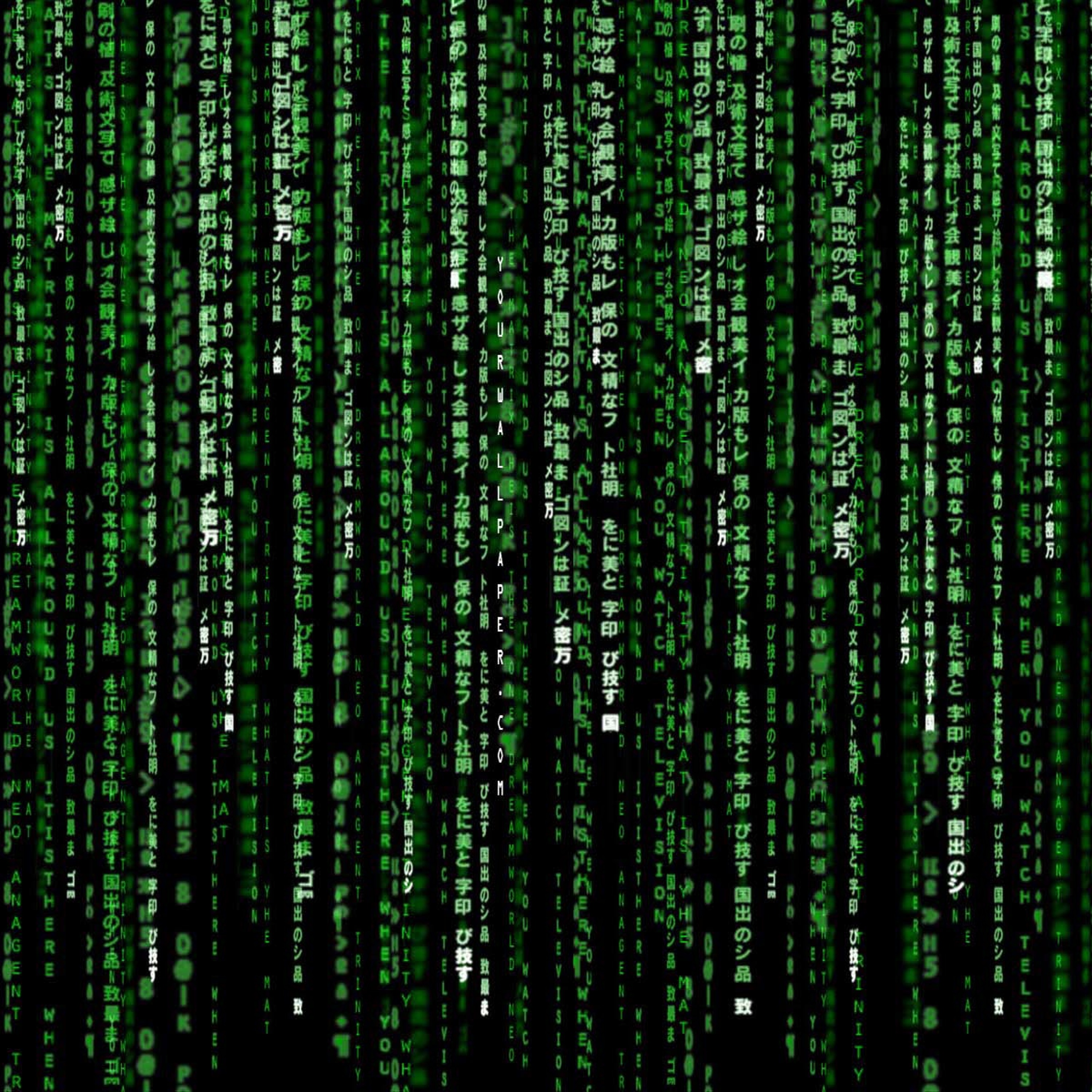 Binary (Instrumental)(Album Concept Rough Mix) episode artwork