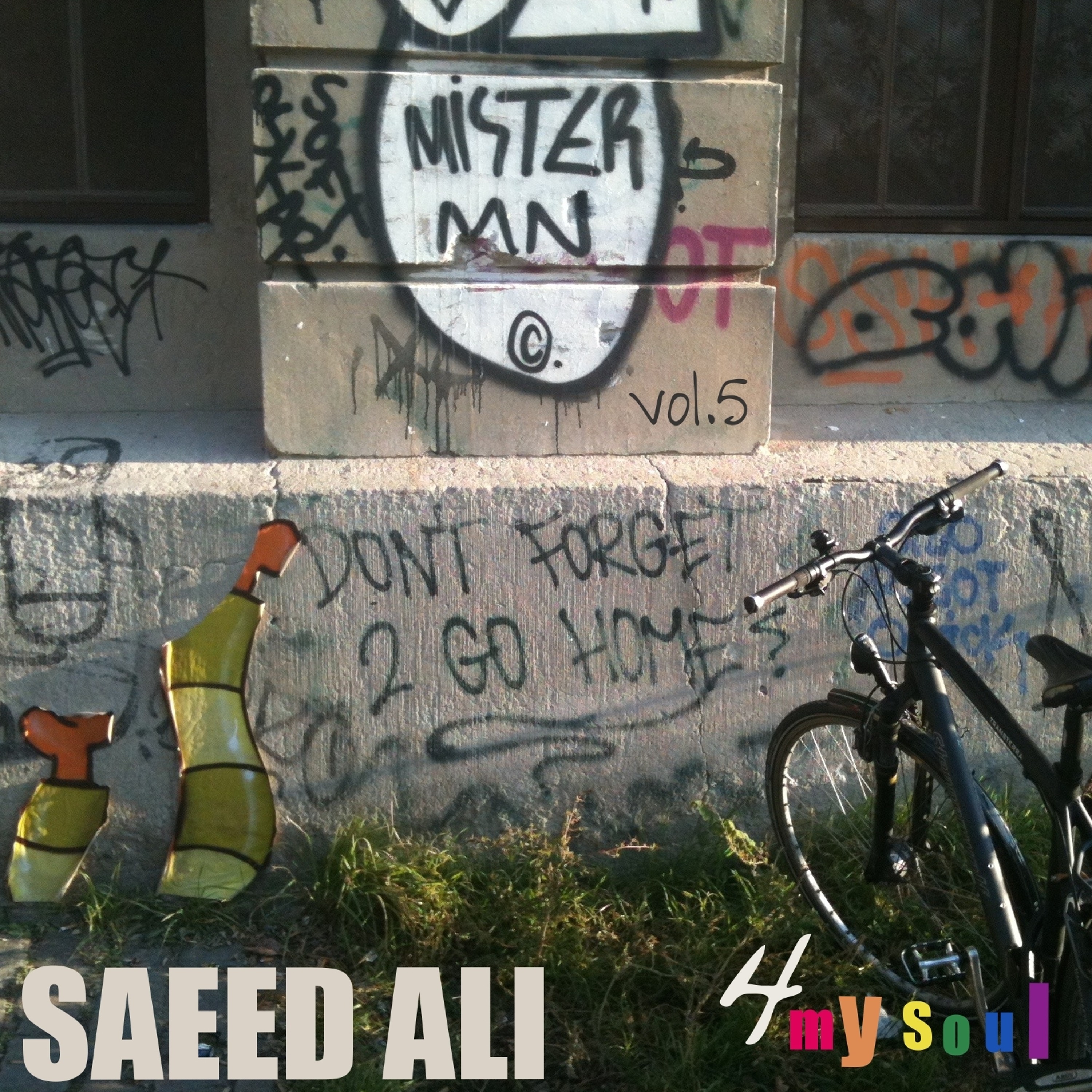 SAEED ALI