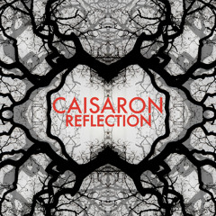 ALBUM REFLECTION Snippets