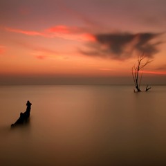 585 - Lake Of Serenity
