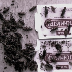 ROACHES -ROUGH DRAFT (Produced By Mr. Nix)