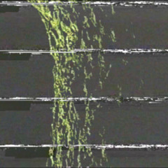 april showers [video in description]