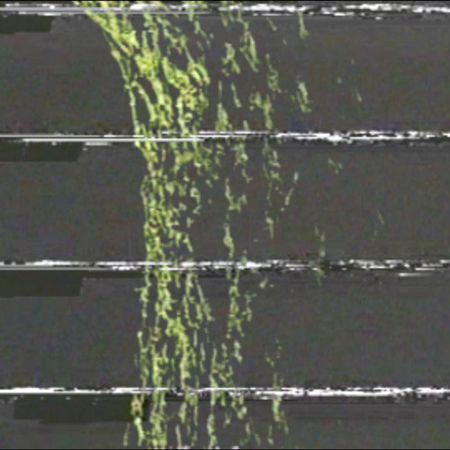 april showers [video in description]