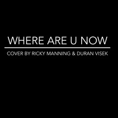Where Are U Now (Ricky Manning & Duran Visek)